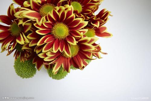 70¹ڷȷﲡ ۼƱ8610